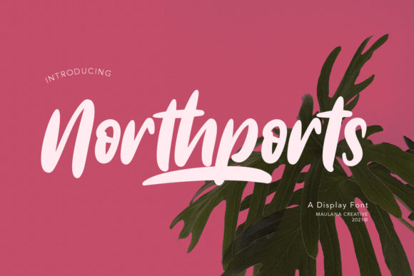 Northports: The Brushed Display Font for Modern Web Design