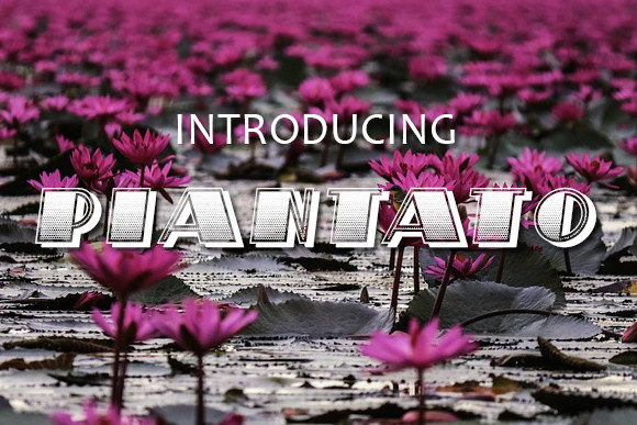 Piantato: A Bold Display Font for Modern Editorial Design